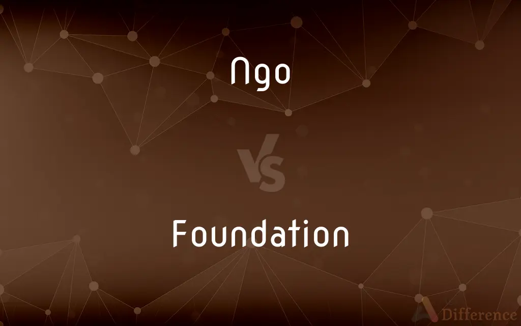 Ngo vs. Foundation — What's the Difference?