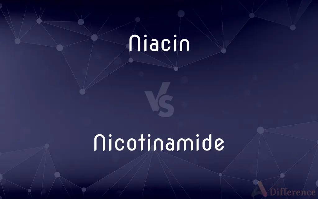 Niacin vs. Nicotinamide — What's the Difference?