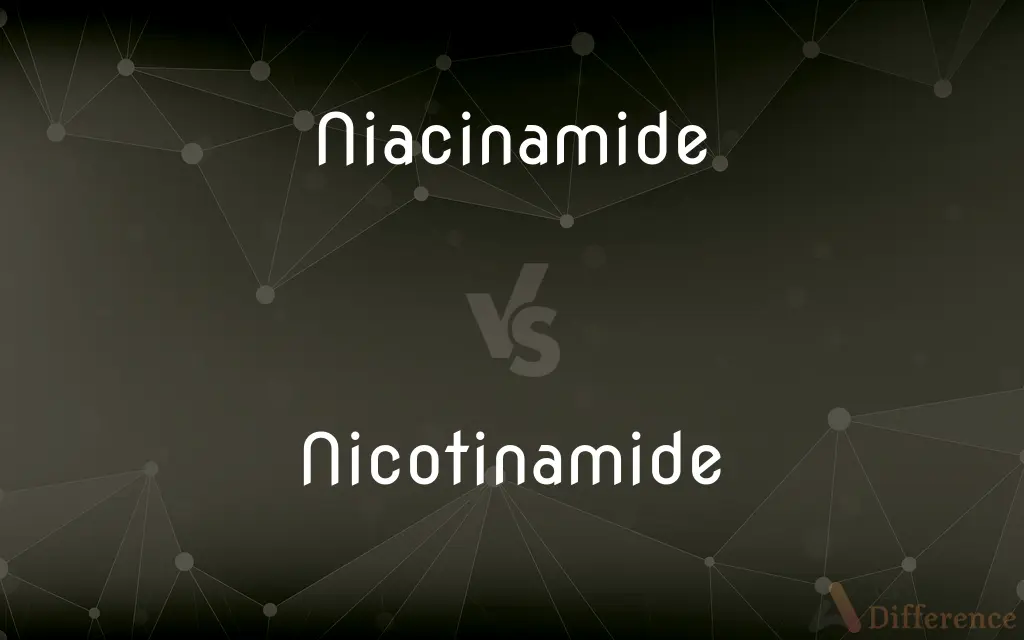 Niacinamide vs. Nicotinamide — What's the Difference?