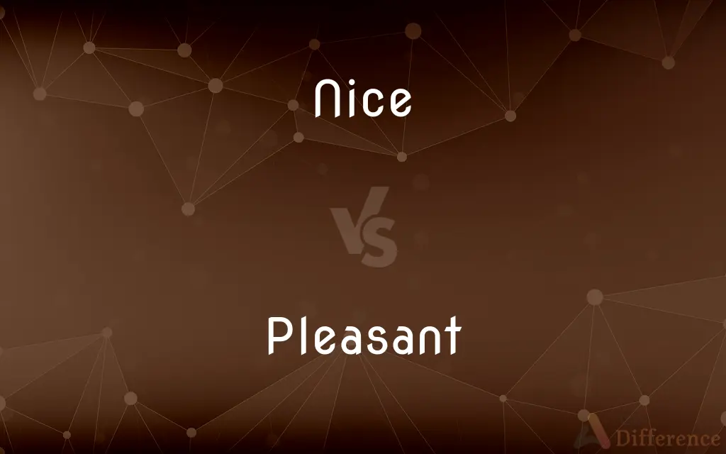 Nice vs. Pleasant — What's the Difference?
