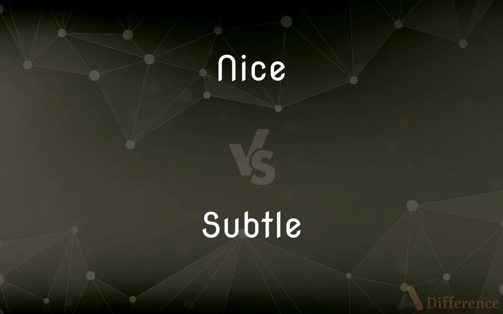 Nice vs. Subtle — What's the Difference?