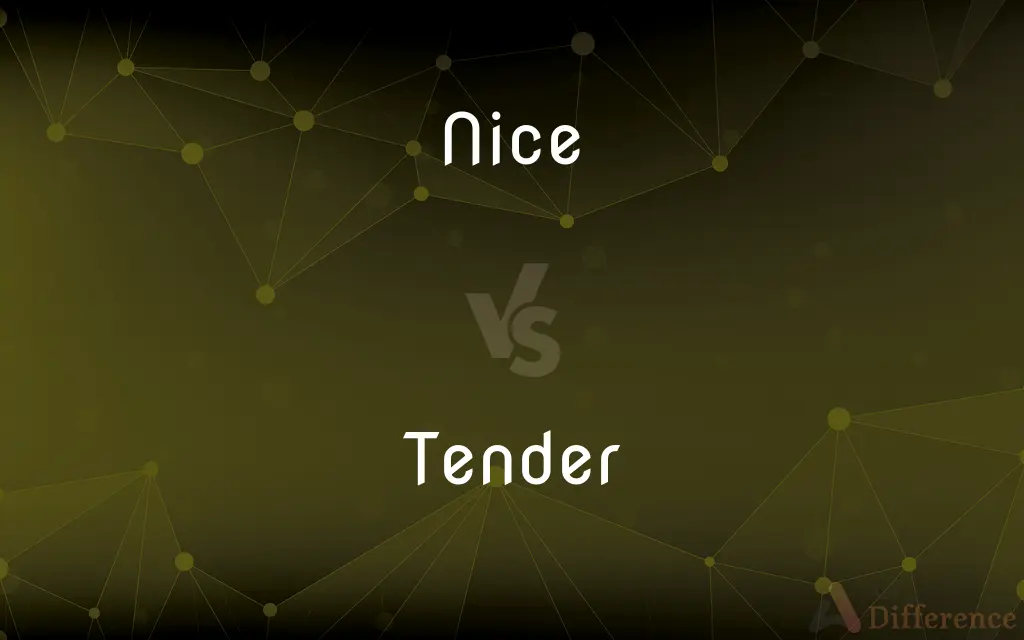 Nice vs. Tender — What's the Difference?