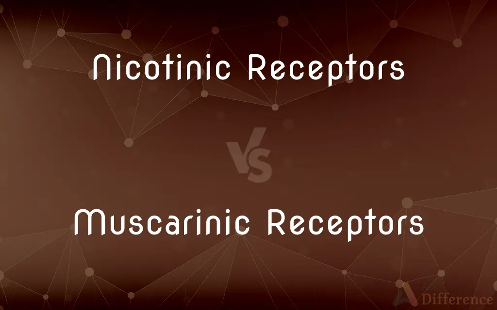 Nicotinic Receptors vs. Muscarinic Receptors — What's the Difference?
