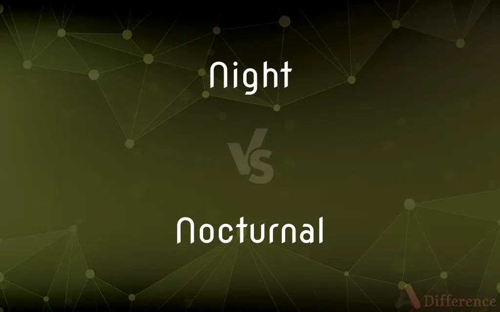 Night vs. Nocturnal — What's the Difference?