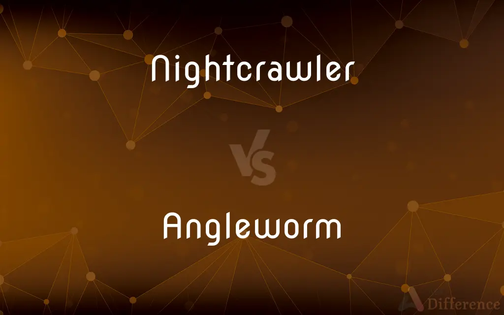 Nightcrawler vs. Angleworm — What's the Difference?