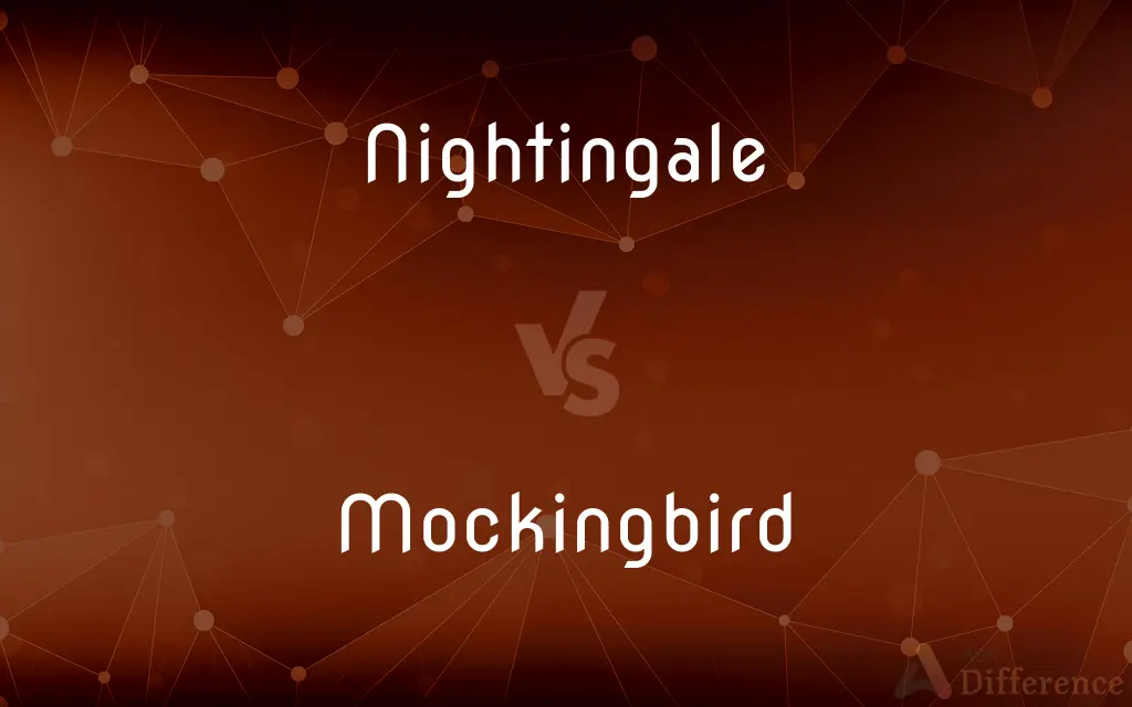 Nightingale vs. Mockingbird — What's the Difference?