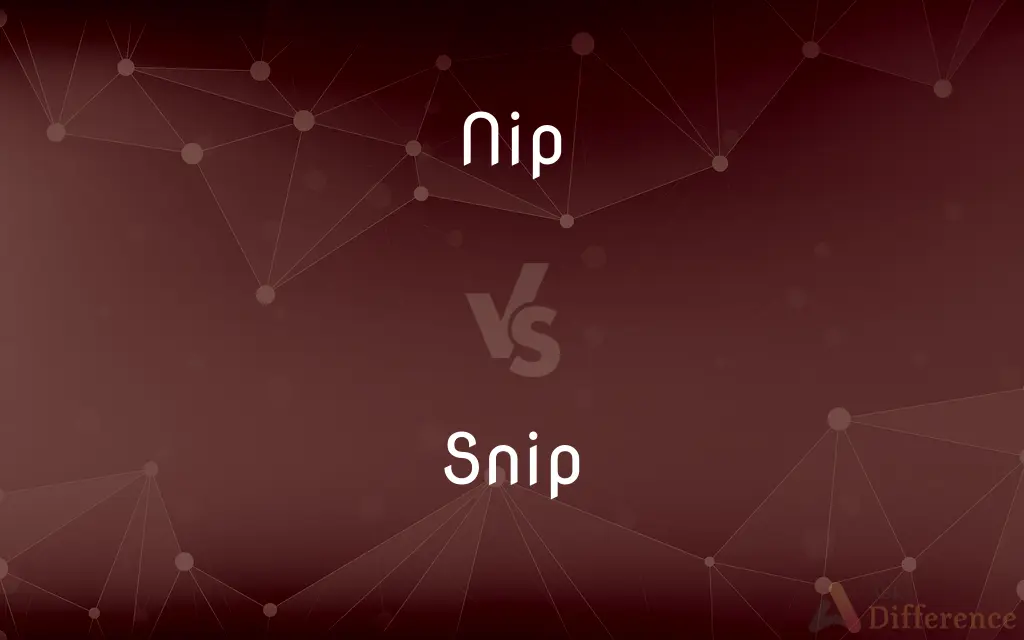 Nip vs. Snip — What's the Difference?