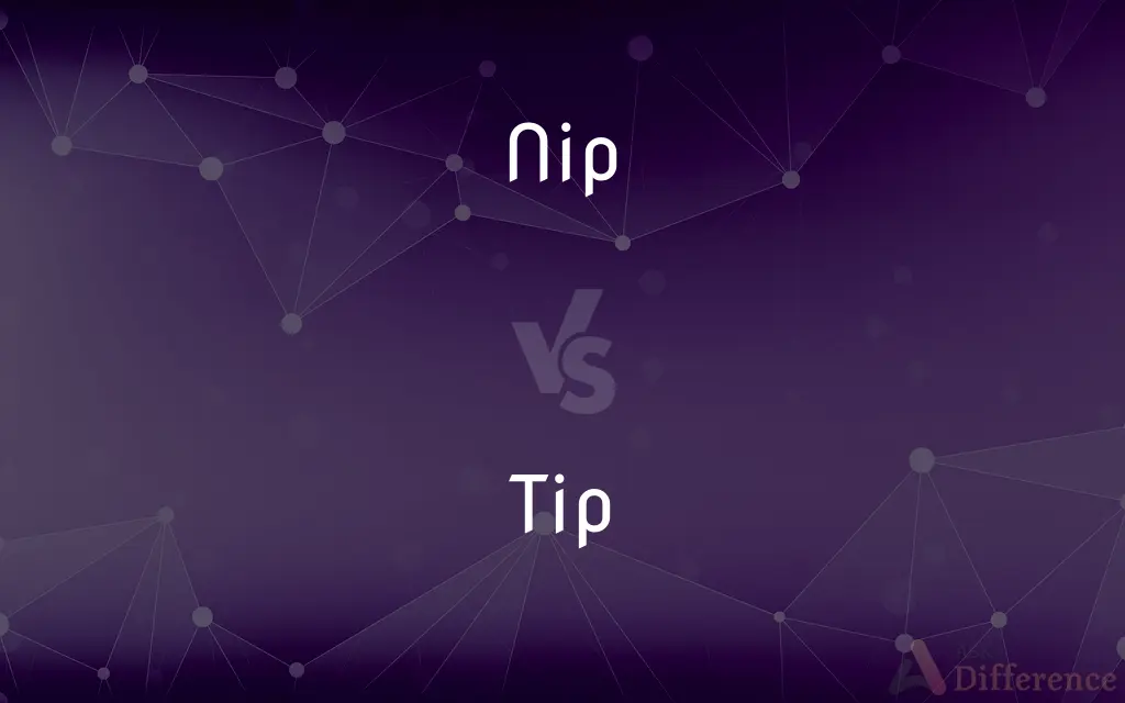 Nip vs. Tip — What's the Difference?
