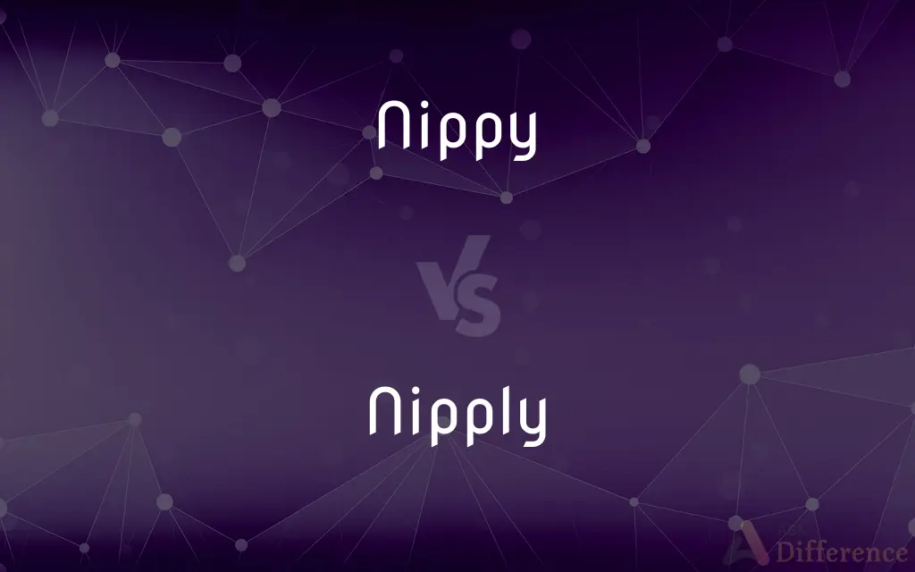 Nippy vs. Nipply — What's the Difference?