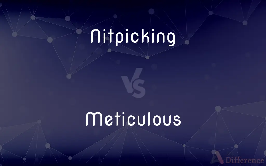 Nitpicking vs. Meticulous — What's the Difference?