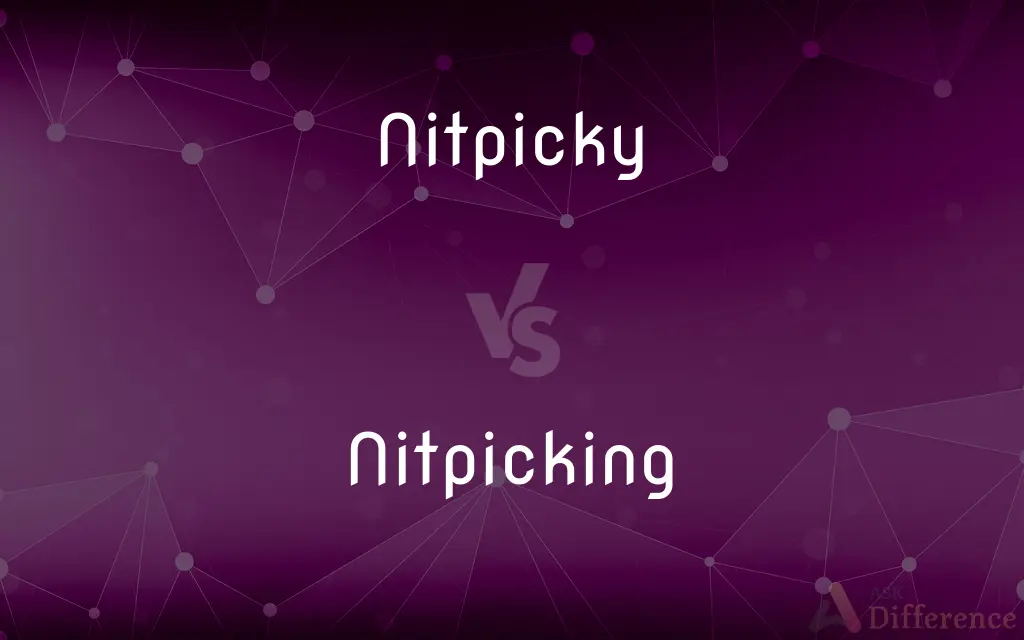 Nitpicky vs. Nitpicking — What's the Difference?