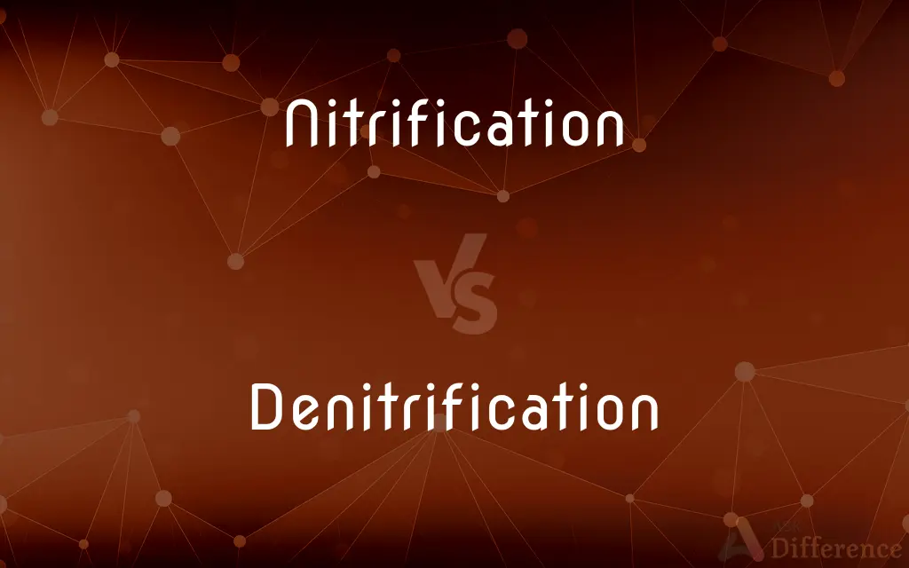 Nitrification vs. Denitrification — What's the Difference?
