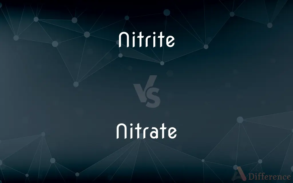 Nitrite vs. Nitrate — What's the Difference?