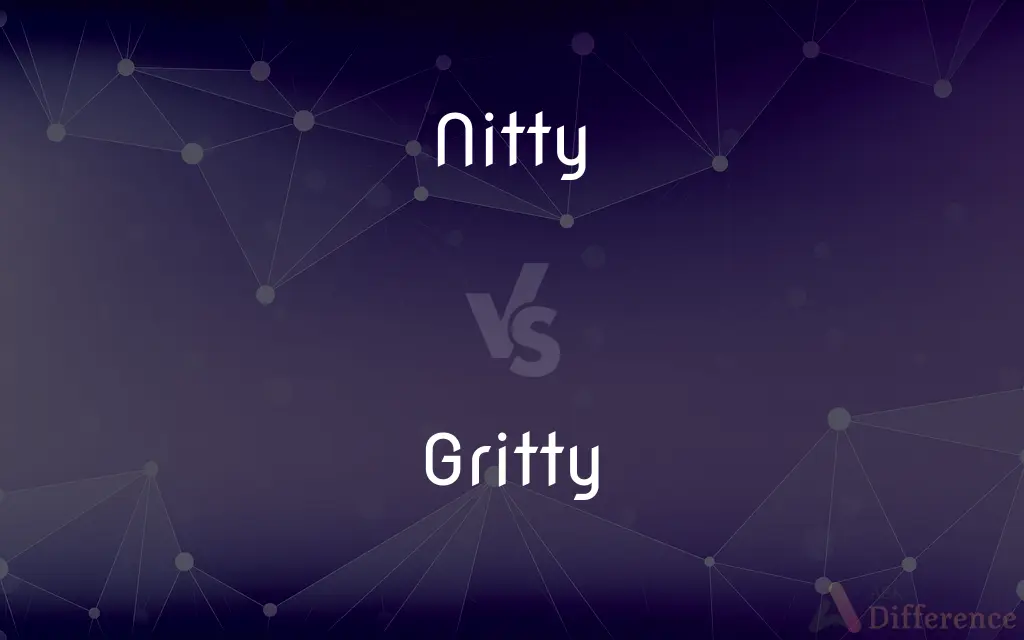 Nitty vs. Gritty — What's the Difference?