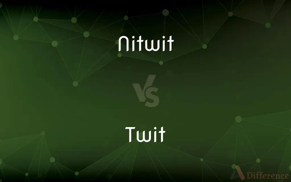 Nitwit vs. Twit — What's the Difference?