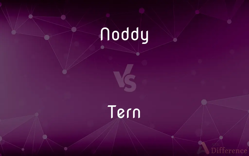 Noddy vs. Tern — What's the Difference?
