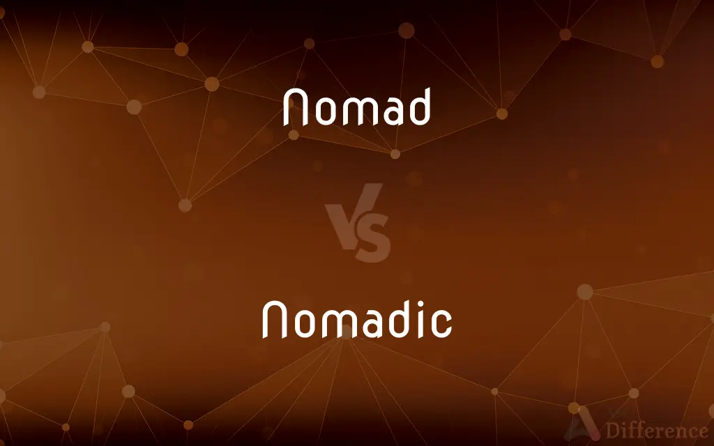Nomad vs. Nomadic — What's the Difference?
