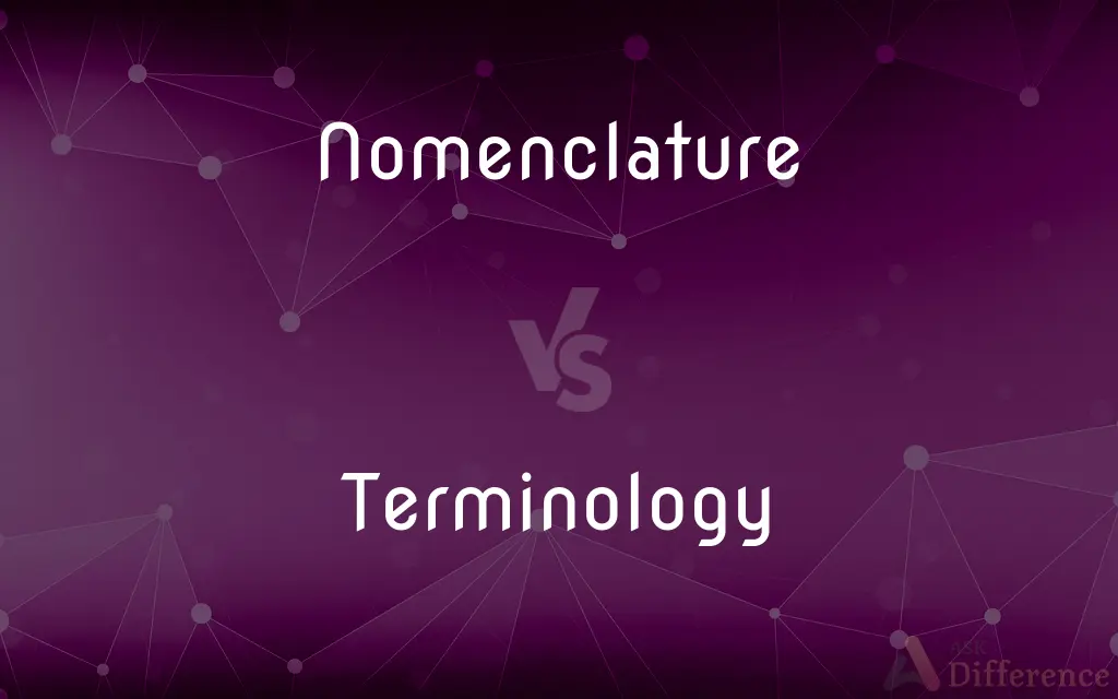 Nomenclature vs. Terminology — What's the Difference?