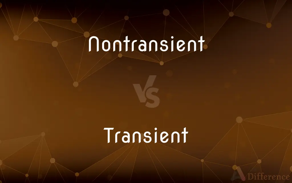 Nontransient vs. Transient — What's the Difference?