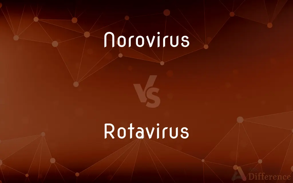 Norovirus vs. Rotavirus — What's the Difference?