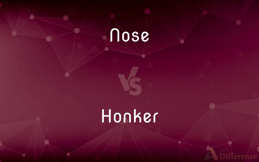 Nose vs. Honker — What's the Difference?