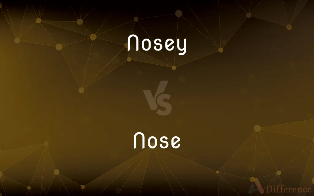 Nosey vs. Nose — What's the Difference?
