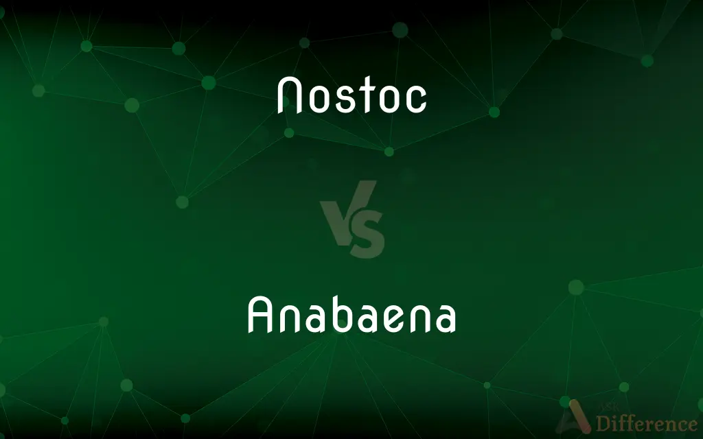 Nostoc vs. Anabaena — What's the Difference?