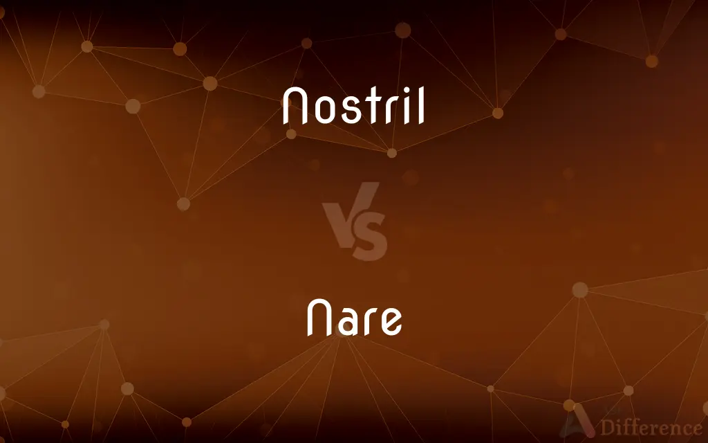 Nostril vs. Nare — What's the Difference?