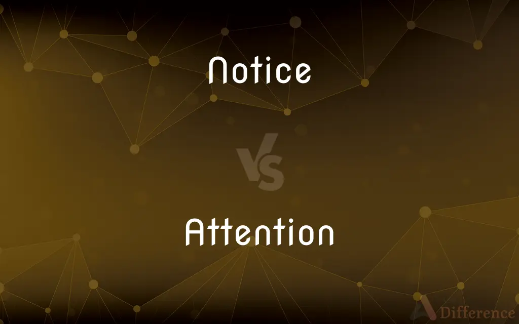 Notice vs. Attention — What's the Difference?