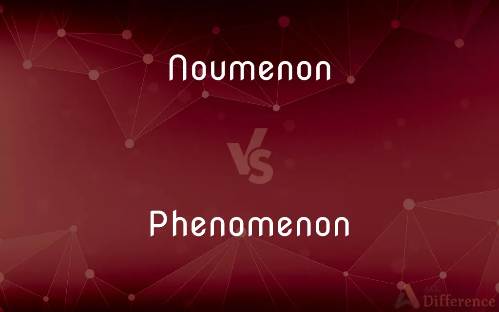 Noumenon vs. Phenomenon — What's the Difference?