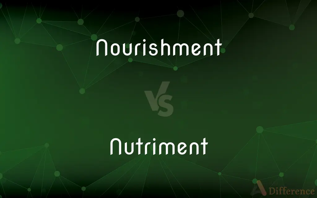 Nourishment vs. Nutriment — What's the Difference?