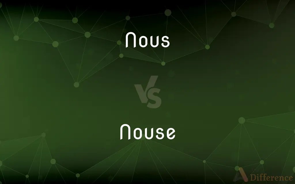 Nous vs. Nouse — What's the Difference?