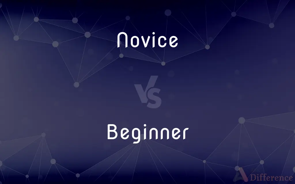 Novice vs. Beginner — What's the Difference?