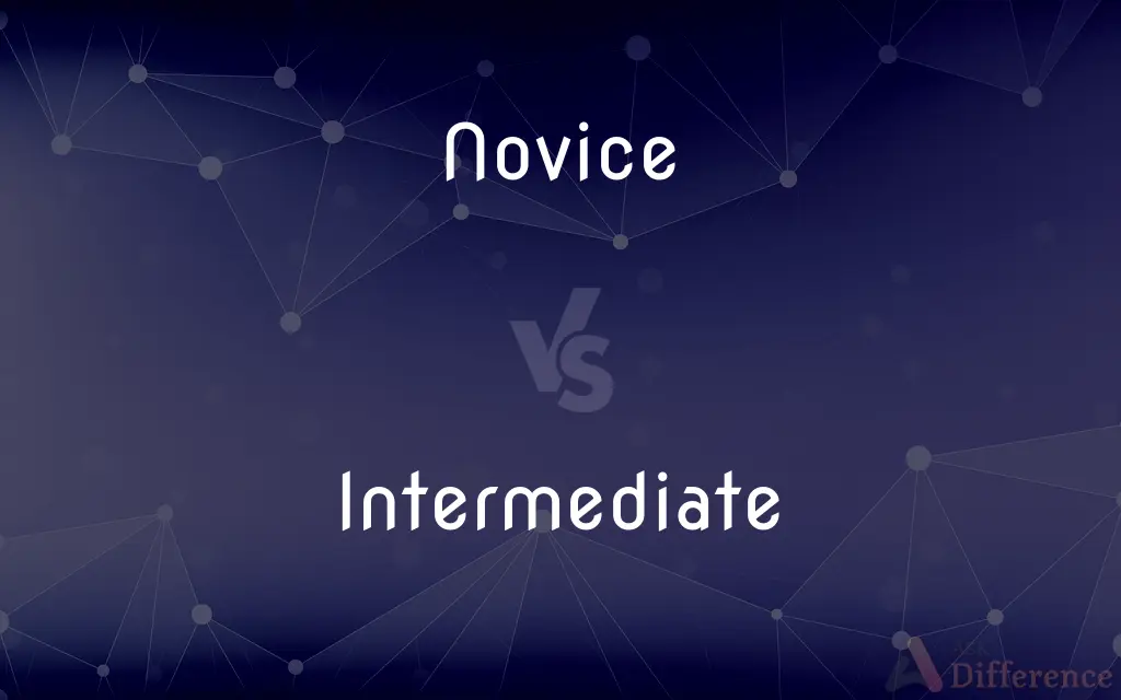 Novice vs. Intermediate — What's the Difference?