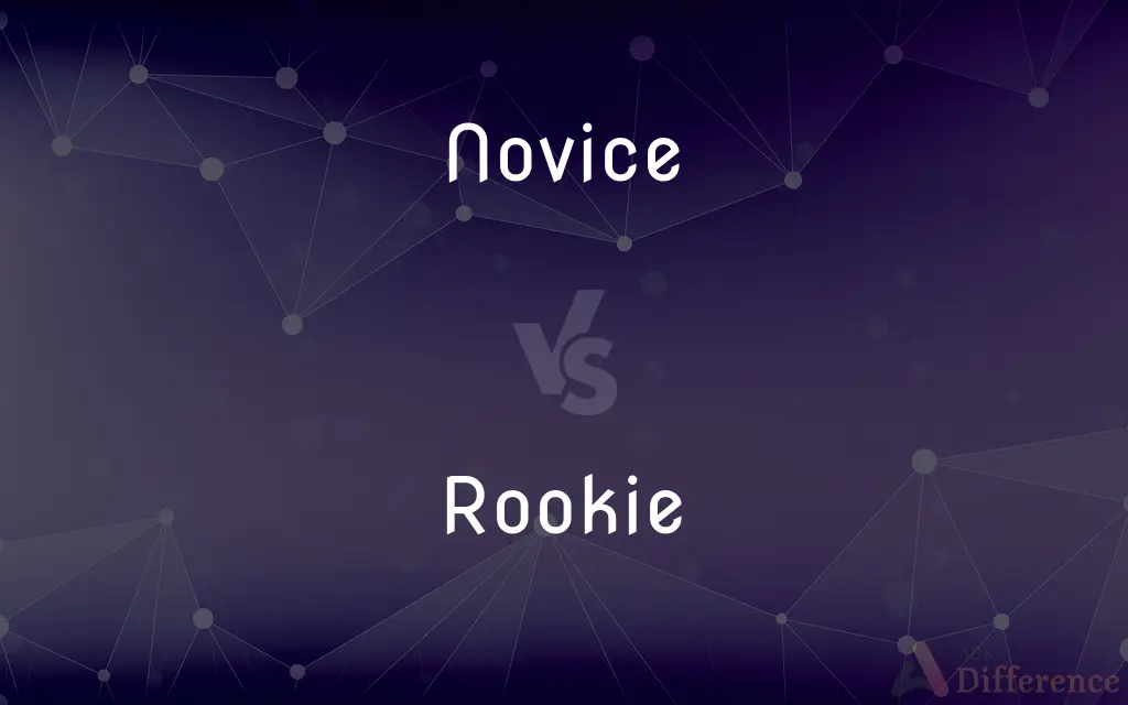Novice vs. Rookie — What's the Difference?