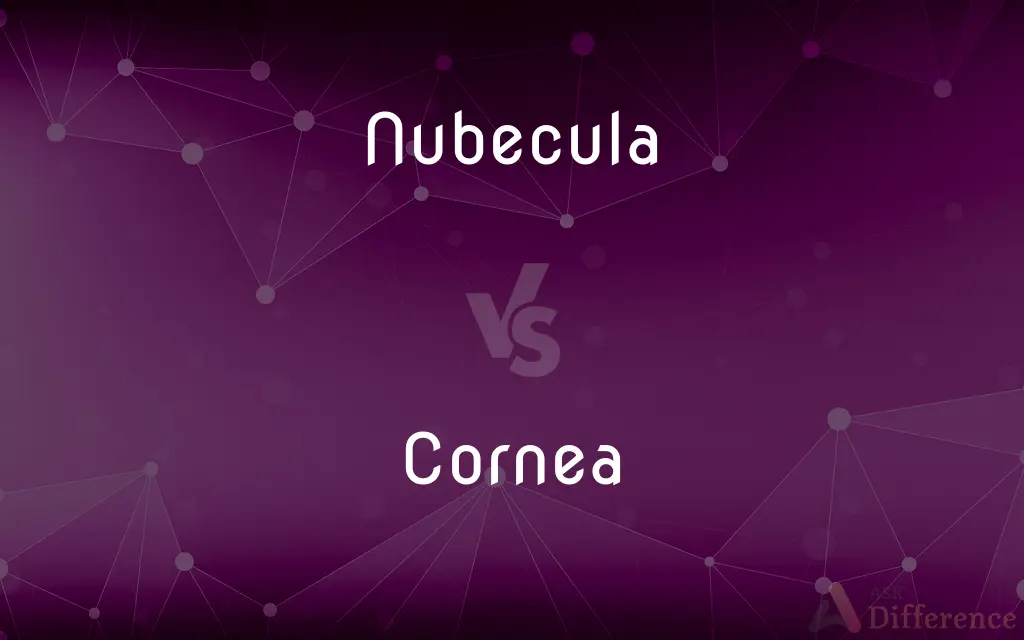 Nubecula vs. Cornea — What's the Difference?