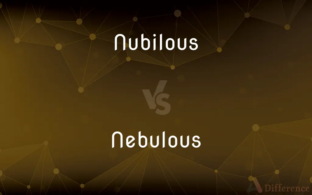 Nubilous vs. Nebulous — What's the Difference?