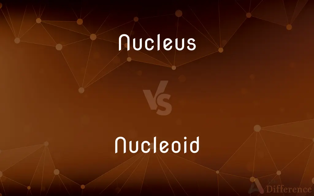 Nucleus vs. Nucleoid — What's the Difference?