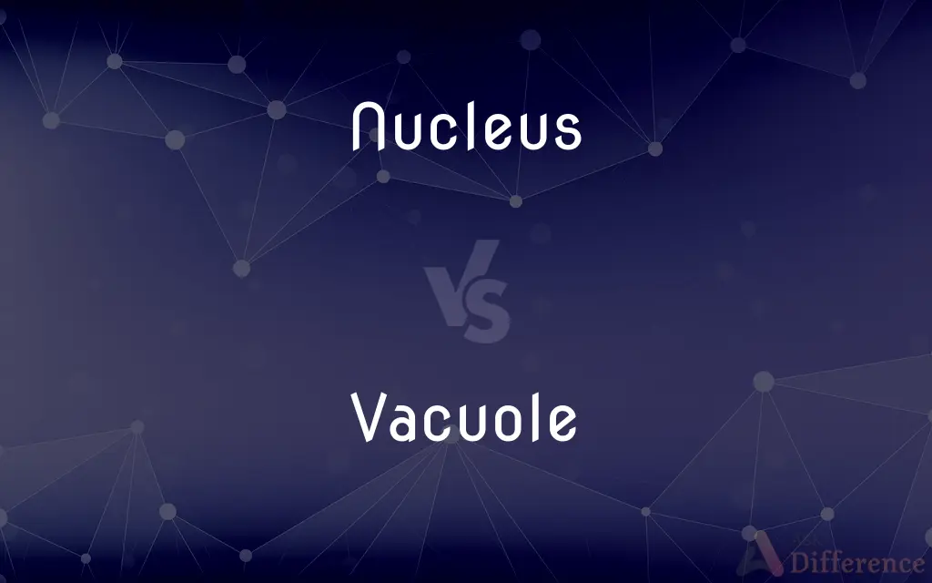 Nucleus vs. Vacuole — What's the Difference?