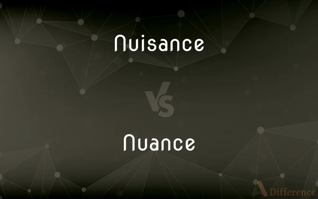 Nuisance vs. Nuance — What's the Difference?