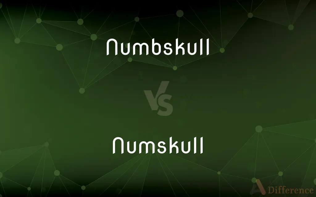 Numbskull vs. Numskull — What's the Difference?