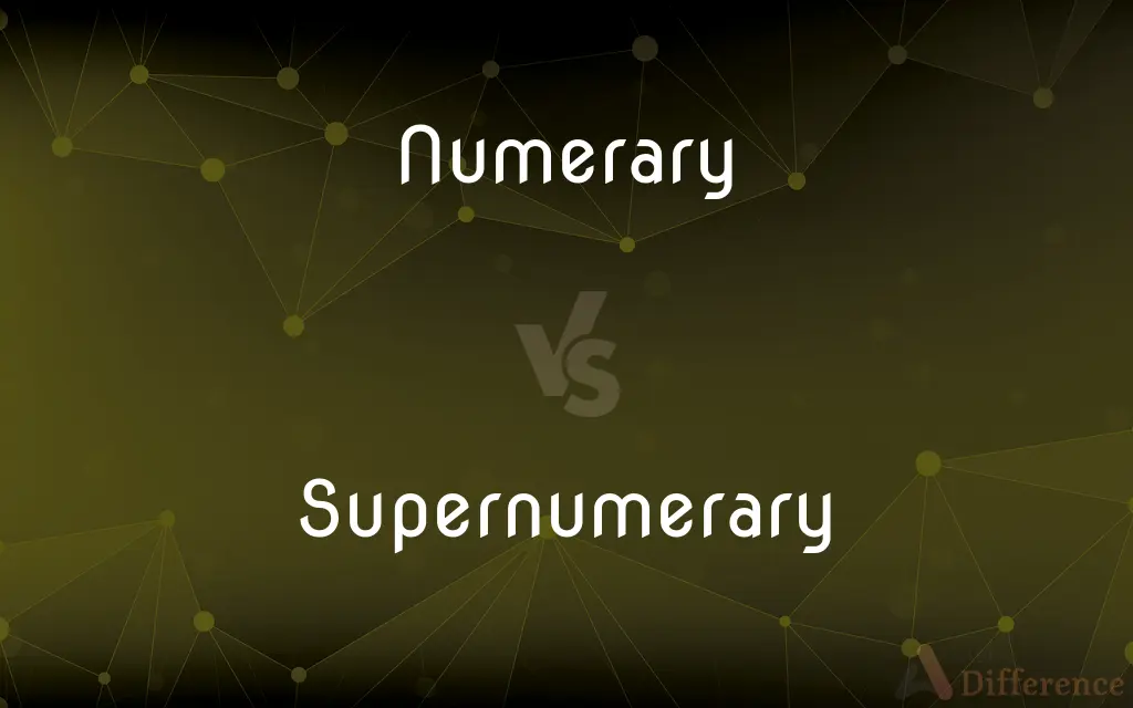 Numerary vs. Supernumerary — What's the Difference?