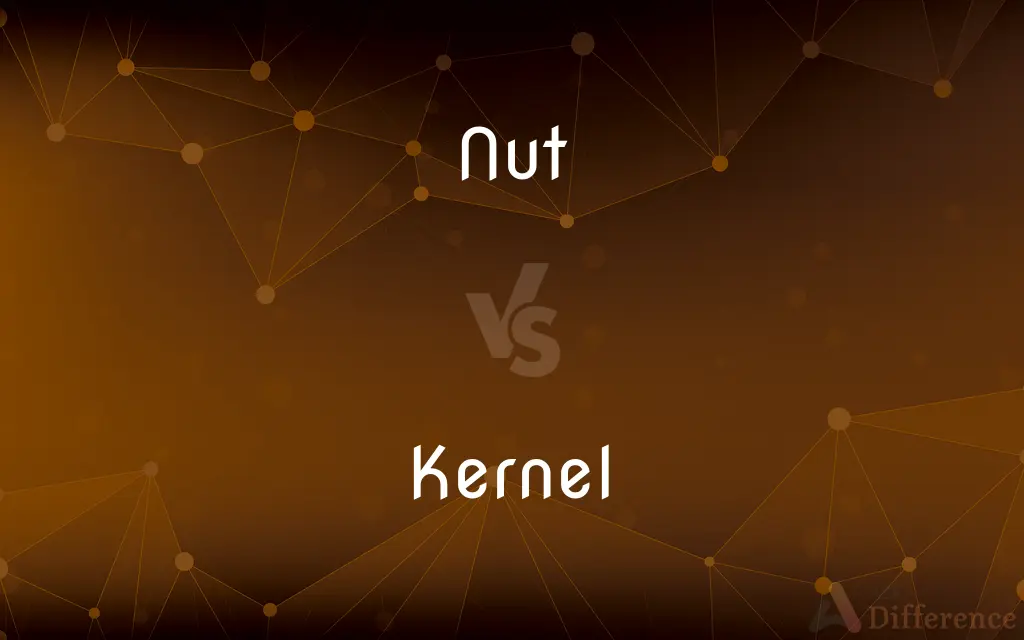 Nut vs. Kernel — What's the Difference?