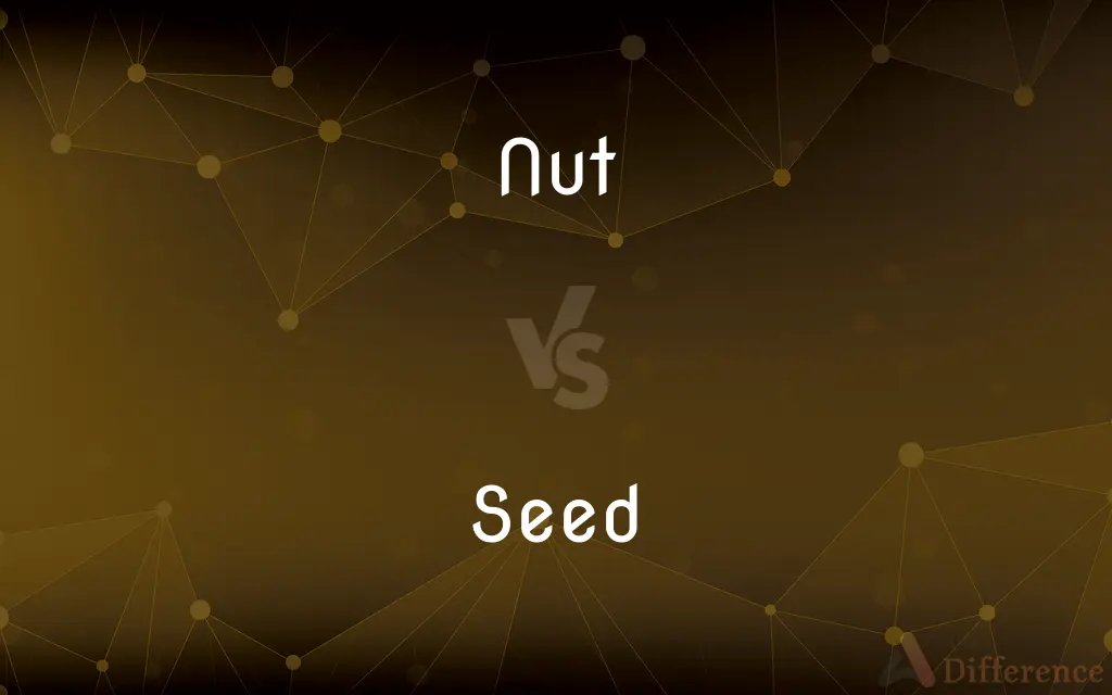 Nut vs. Seed — What's the Difference?