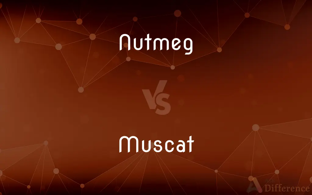 Nutmeg vs. Muscat — What's the Difference?