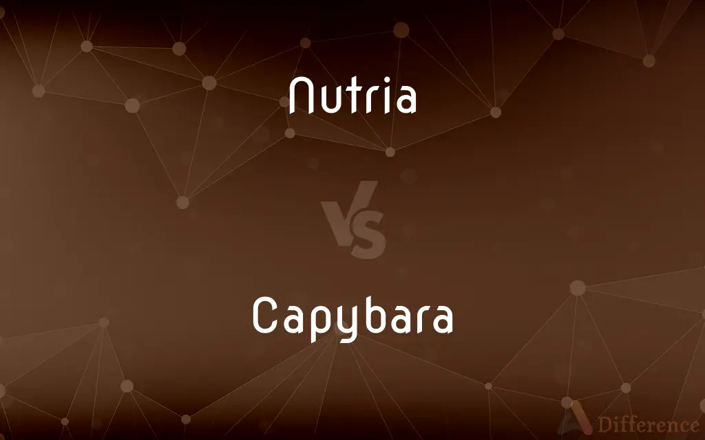 Nutria vs. Capybara — What's the Difference?