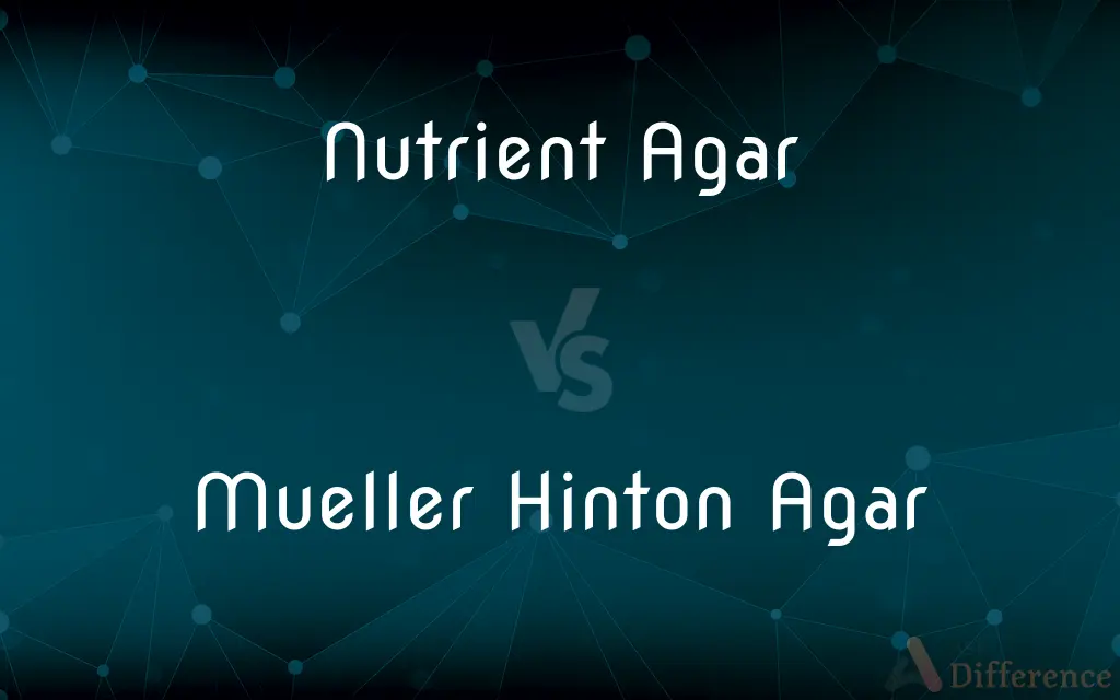 Nutrient Agar vs. Mueller Hinton Agar — What's the Difference?