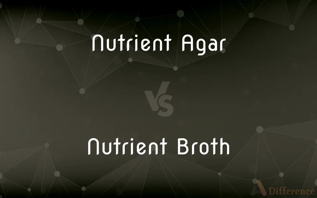 Nutrient Agar vs. Nutrient Broth — What's the Difference?