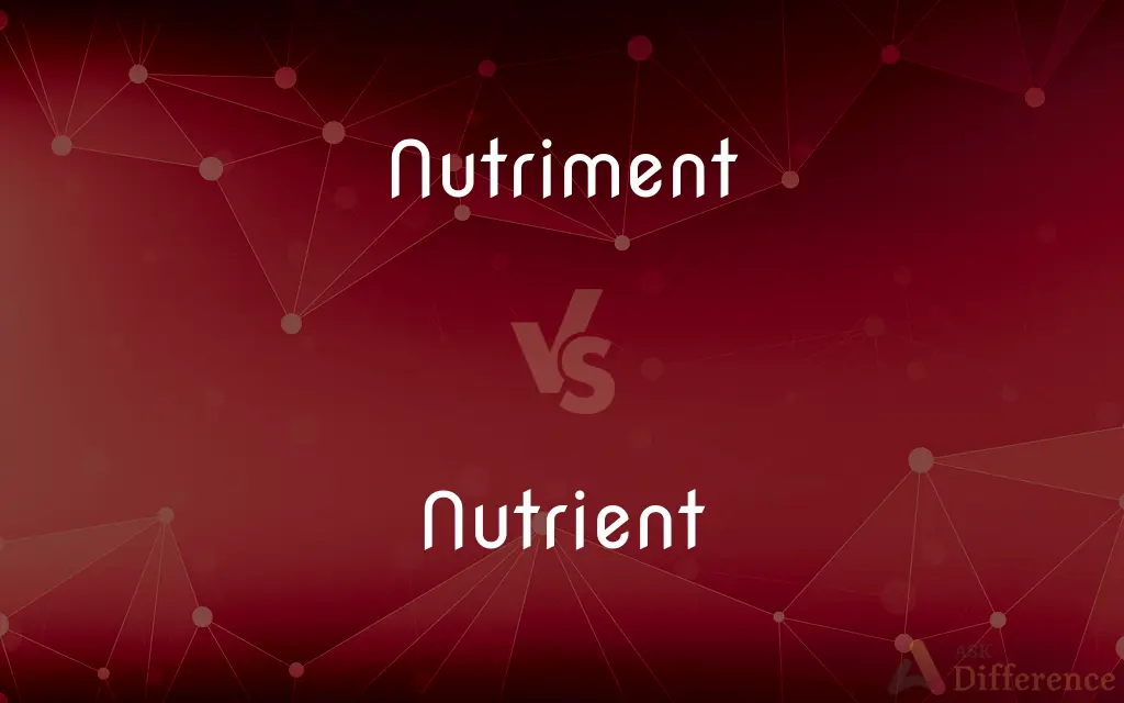 Nutriment vs. Nutrient — What's the Difference?