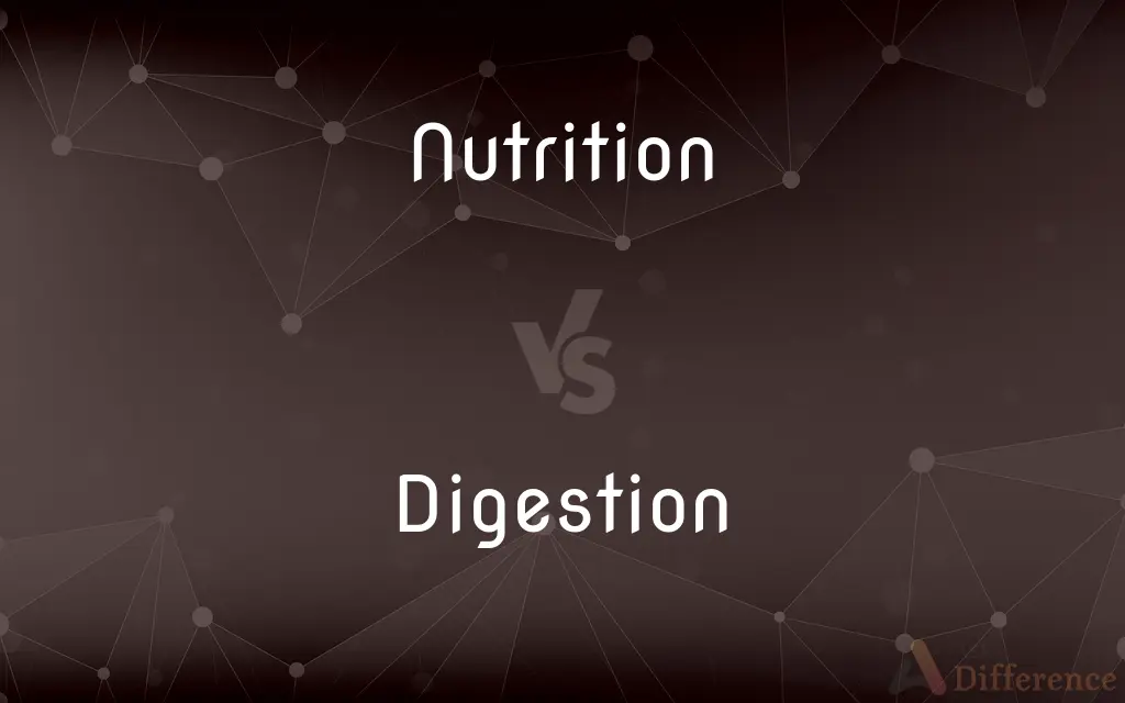 Nutrition vs. Digestion — What's the Difference?